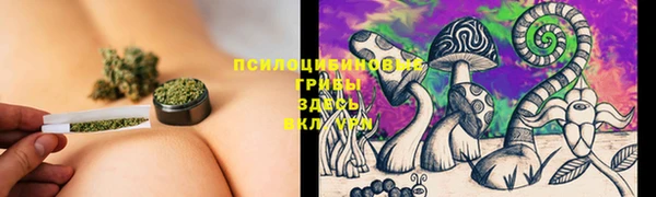 гашиш Абаза