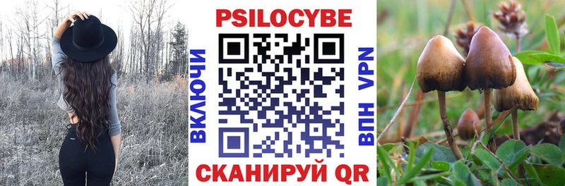Псилоцибиновые грибы прущие грибы  Шахты 